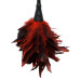 FFS Frisky Feather Duster FFS Frisky Feather Duster