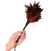 FFS Frisky Feather Duster FFS Frisky Feather Duster