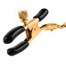FFS Gold Chain Nipple Clamps FFS Gold Chain Nipple Clamps