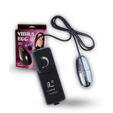 Віброяйце - Vibra Egg Silver Віброяйце - Vibra Egg Silver
