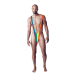 Чоловічі стрінги Rainbow Mankini One Size Чоловічі стрінги Rainbow Mankini One Size