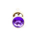 Анальна пробка - Jewellery Gold Butt Plug Purple Анальна пробка - Jewellery Gold Butt Plug Purple